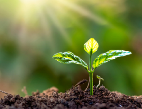 Raising Confident Kids: How Dressing Themselves Builds Life-Long Skills